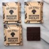 Mushroom chocolate bar