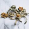 Treasure coast mushrooms for sae
