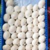 buy turkish mushroom chocolate