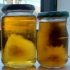buy mushroom liquid culture