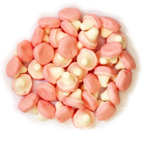 buy foam mushrooms