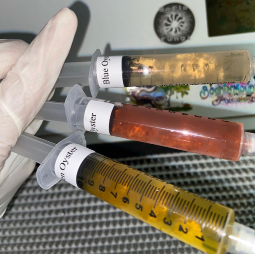 buy liquid culture syringe